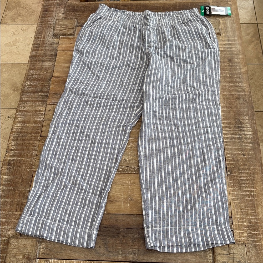 Briggs Blue Stripe Pants NWT